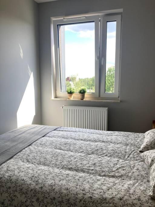 Sloneczny Apartament Z Garazem Przy Parku Kosciuszki Katowice Exterior photo
